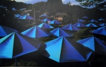 Christo: The Umbrellas, Japan - USA 1991 (2)